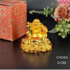 Coins Laughing Buddha