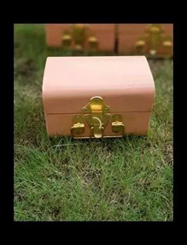 Metal Trunk